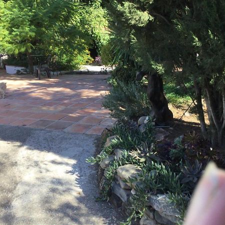 Finca El Rio, The Studio Self Catering With Pool And Hydrotherapy Jacuzzi Set In Beautiful Gardens, Guaro Eksteriør bilde