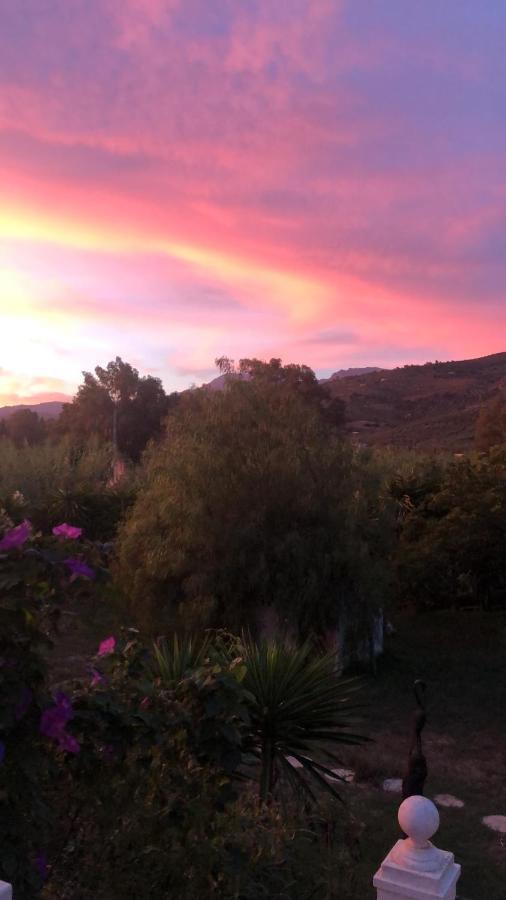 Finca El Rio, The Studio Self Catering With Pool And Hydrotherapy Jacuzzi Set In Beautiful Gardens, Guaro Eksteriør bilde