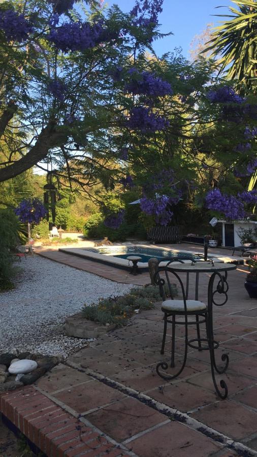 Finca El Rio, The Studio Self Catering With Pool And Hydrotherapy Jacuzzi Set In Beautiful Gardens, Guaro Eksteriør bilde