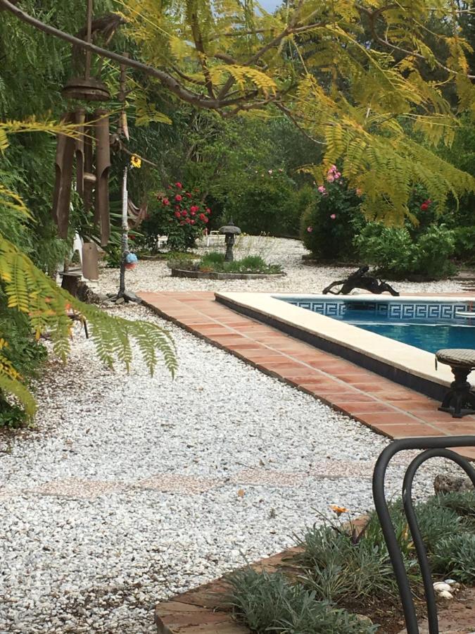 Finca El Rio, The Studio Self Catering With Pool And Hydrotherapy Jacuzzi Set In Beautiful Gardens, Guaro Eksteriør bilde